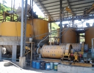 Eduador Gold Plant